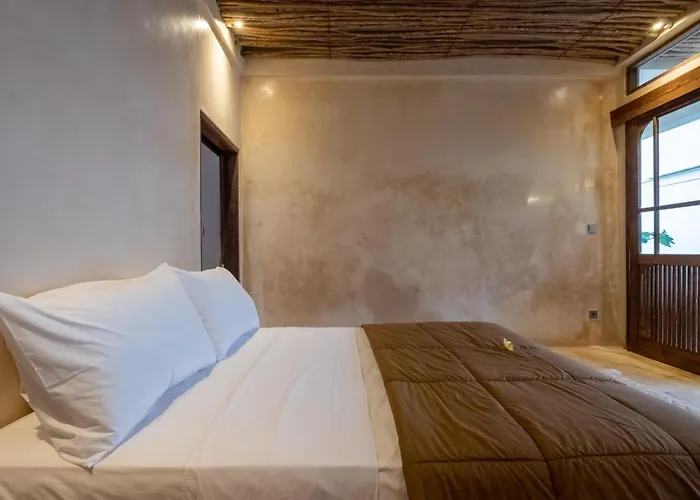 فيلة Amma Oasis *