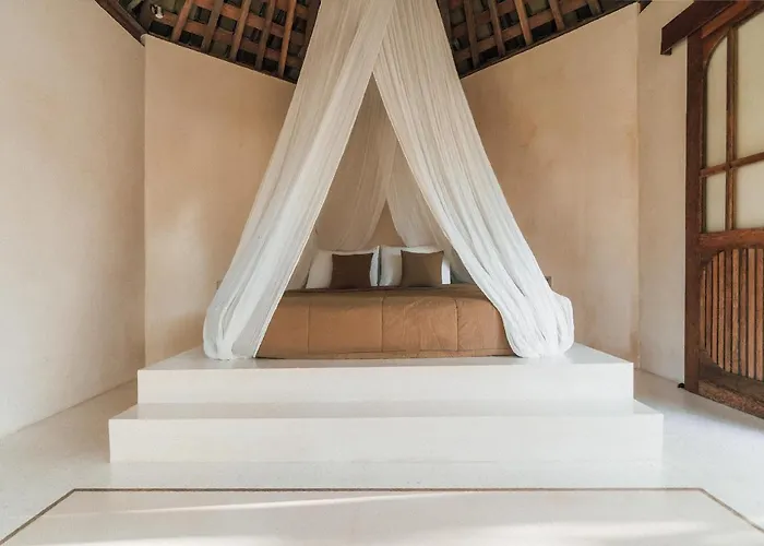 Amma Oasis